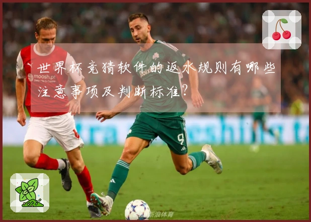 世界杯竞猜软件的返水规则有哪些注意事项及判断标准?