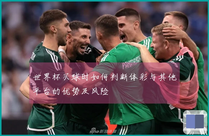 世界杯买球时如何判断体彩与其他平台的优势及风险